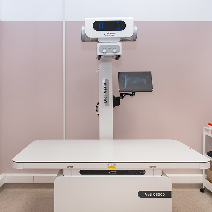 Ultrazvucna i RTG dijagnostika 2