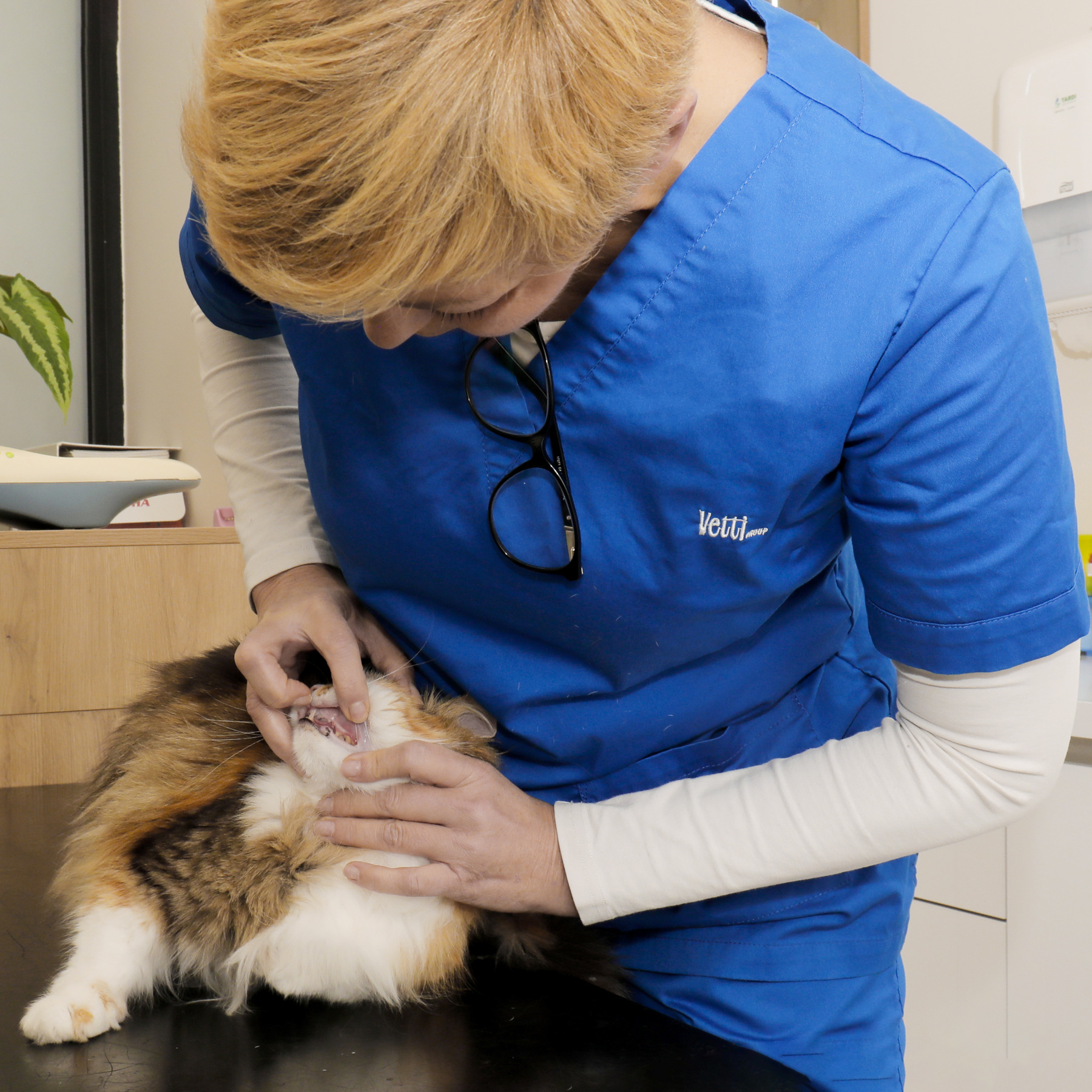 Stomatologija AMBULANTA BUBA