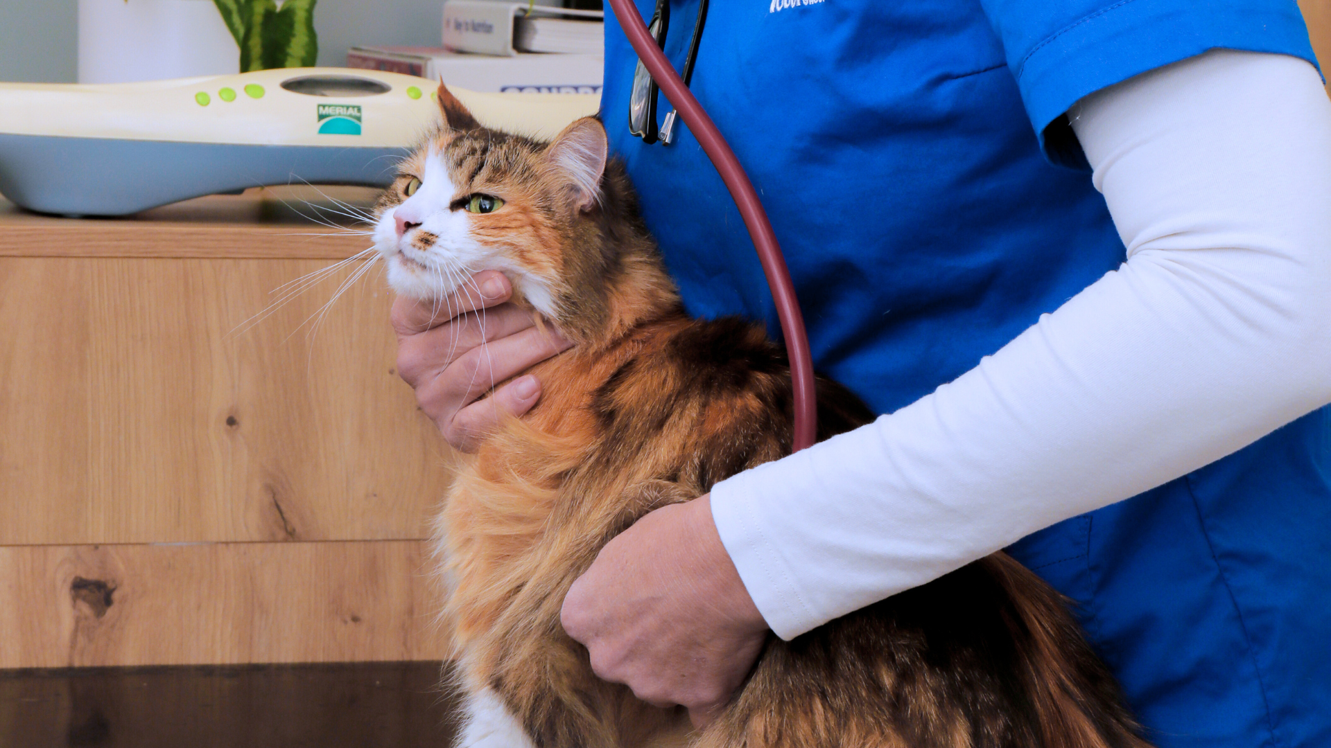 Physical examinations