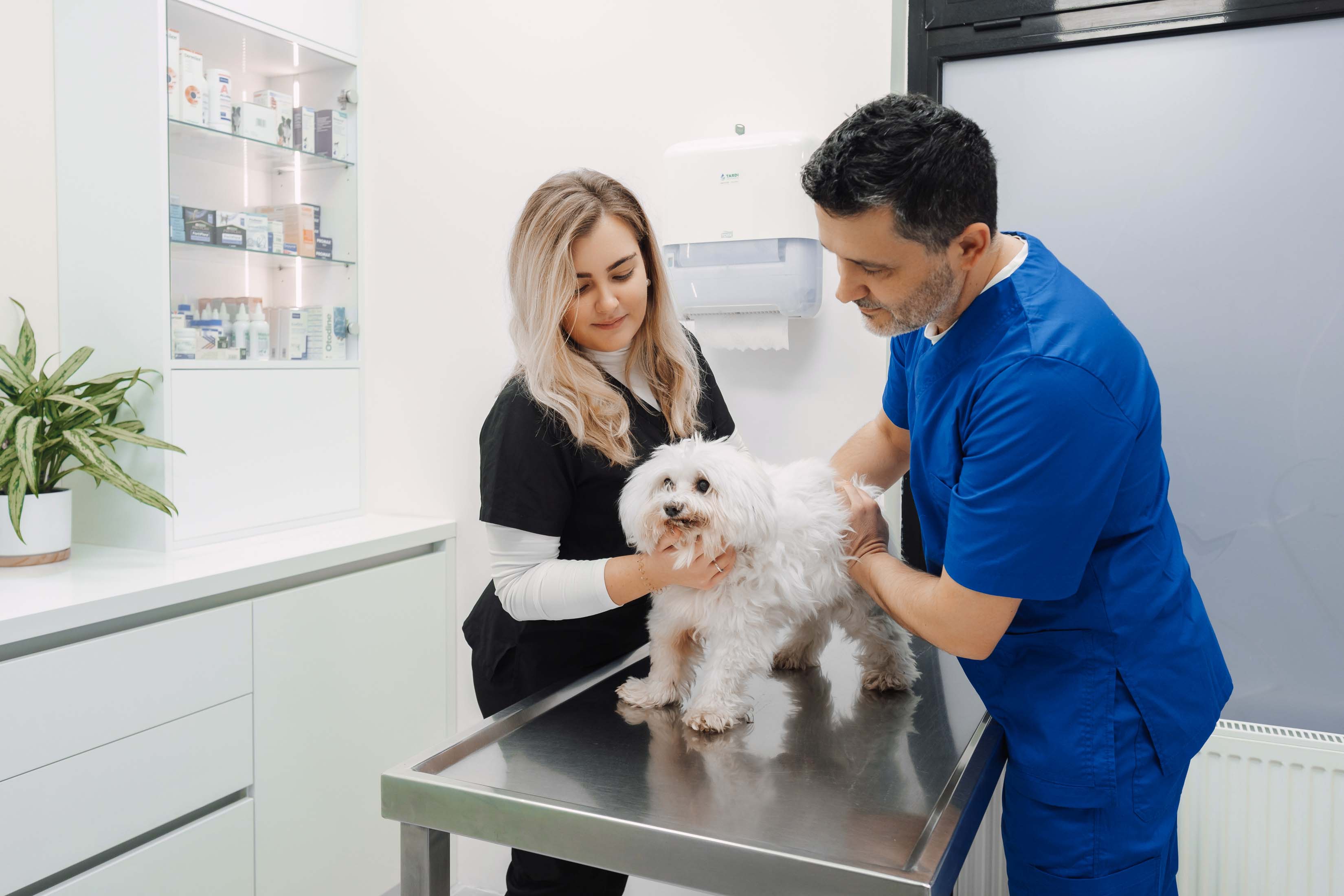 Veterinarska ambulanta Buba pregled