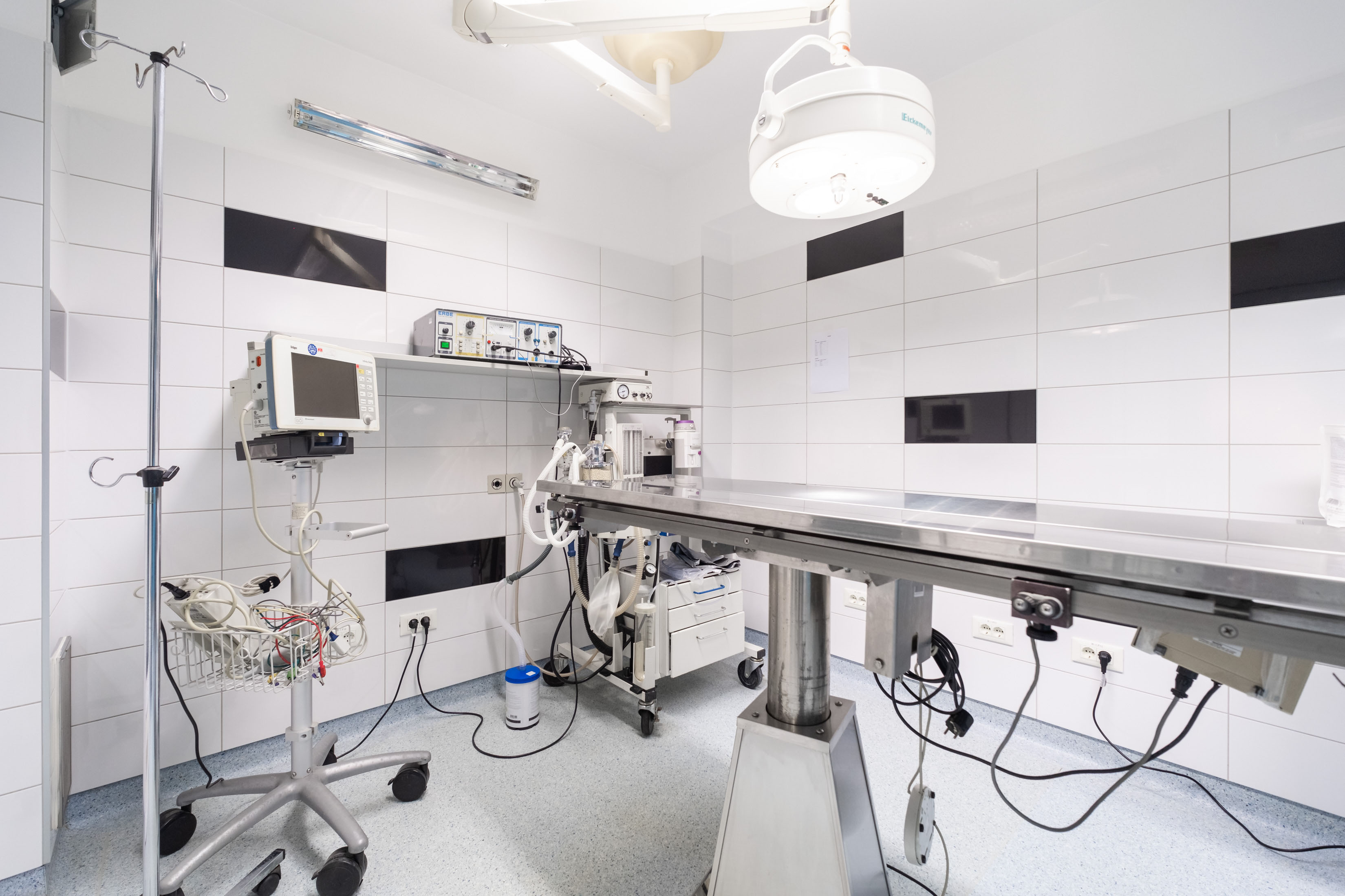 Veterinarska ambulanta Buba - kirurgija