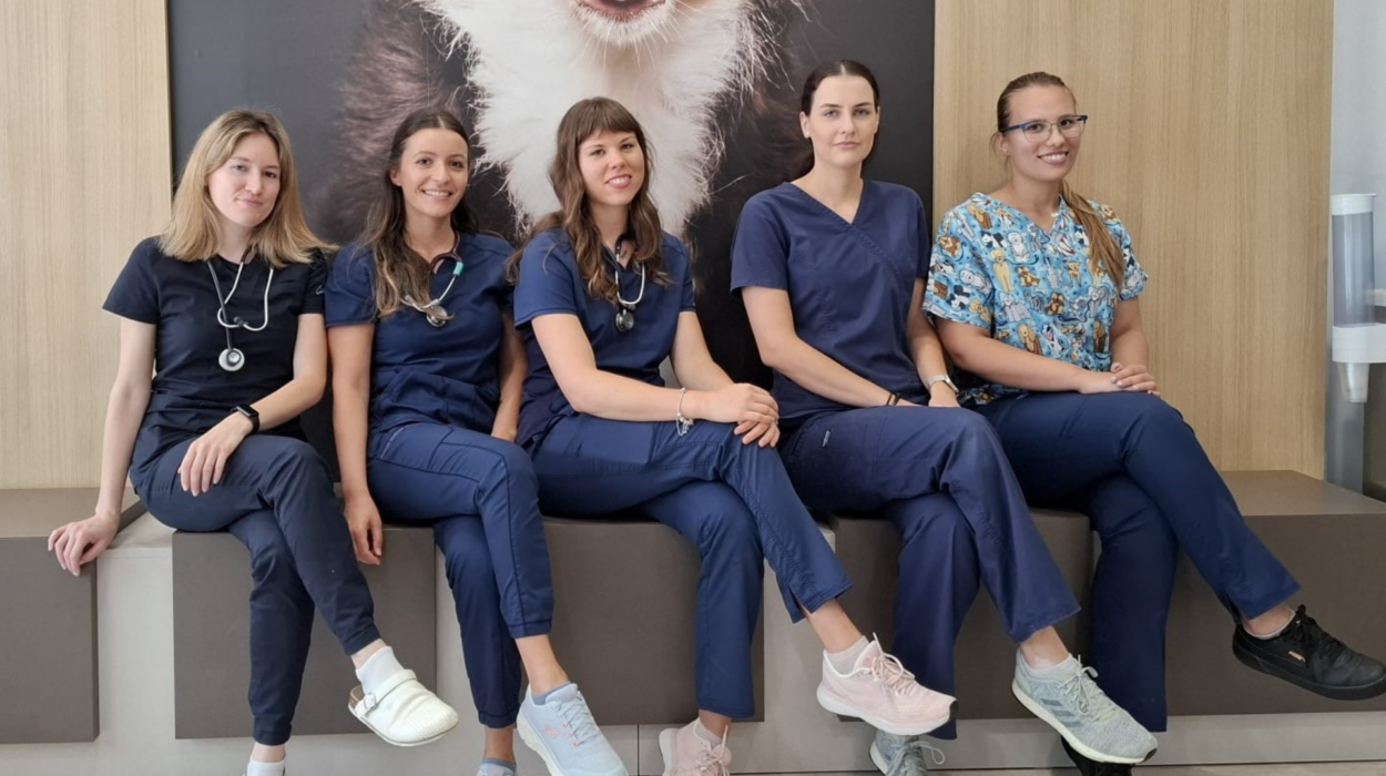 Blog (1920 x 1358 piks.) (4)