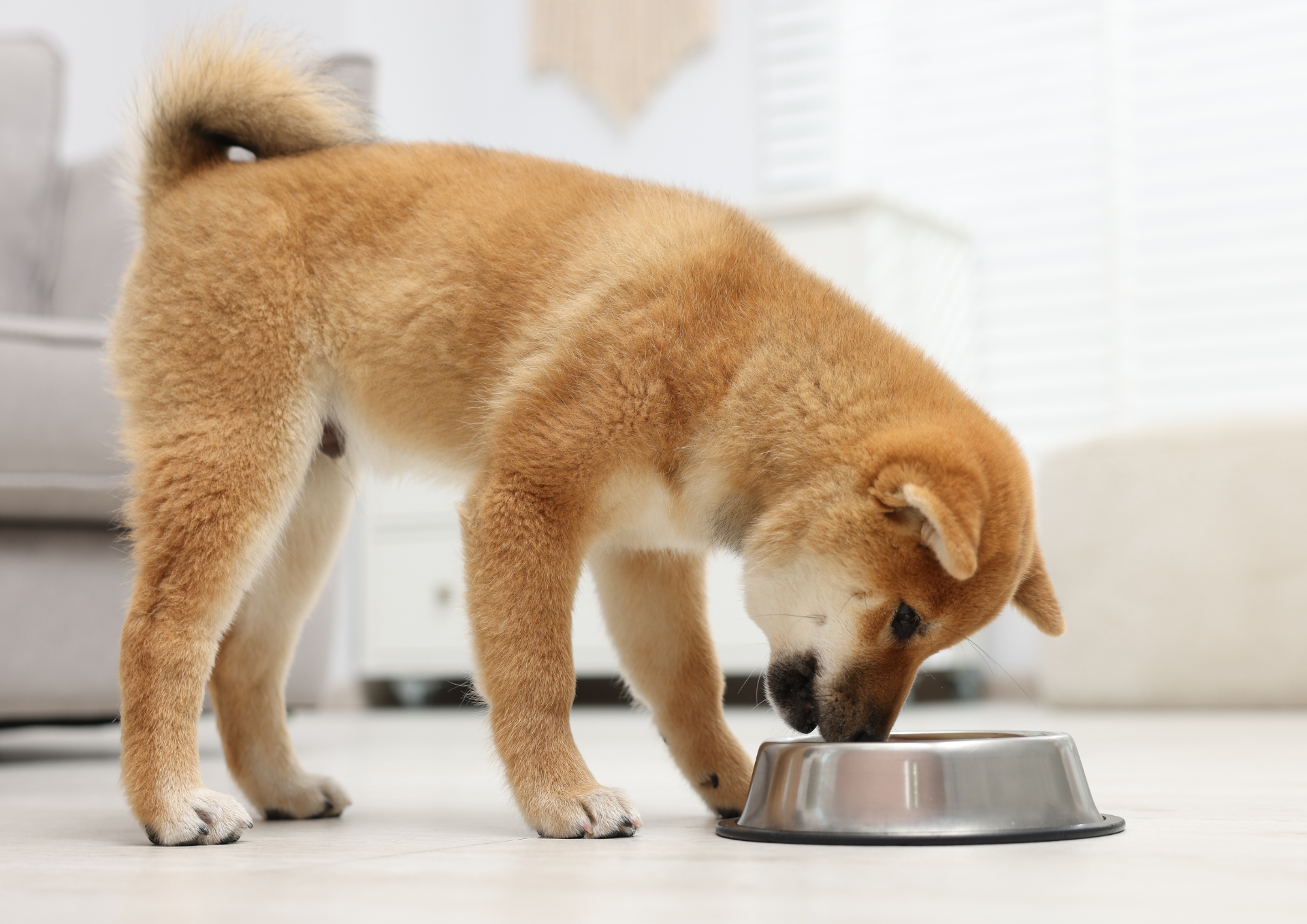 Food therapy